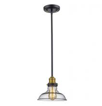  70823 ROB - Jackson 8" wide Pendant